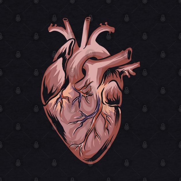 Anatomical Heart - Medical Anatomy Illustration by Shirtbubble